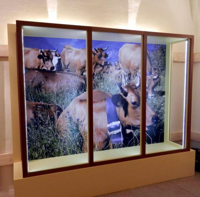 vitreine lait - Musée TP Moûtiers