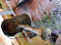 bottacul - Musée TP Moûtiers