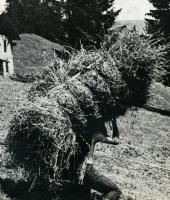 Photo barillon - Musée TP Moûtiers