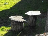 Ruche tronc - Musée TP Moûtiers